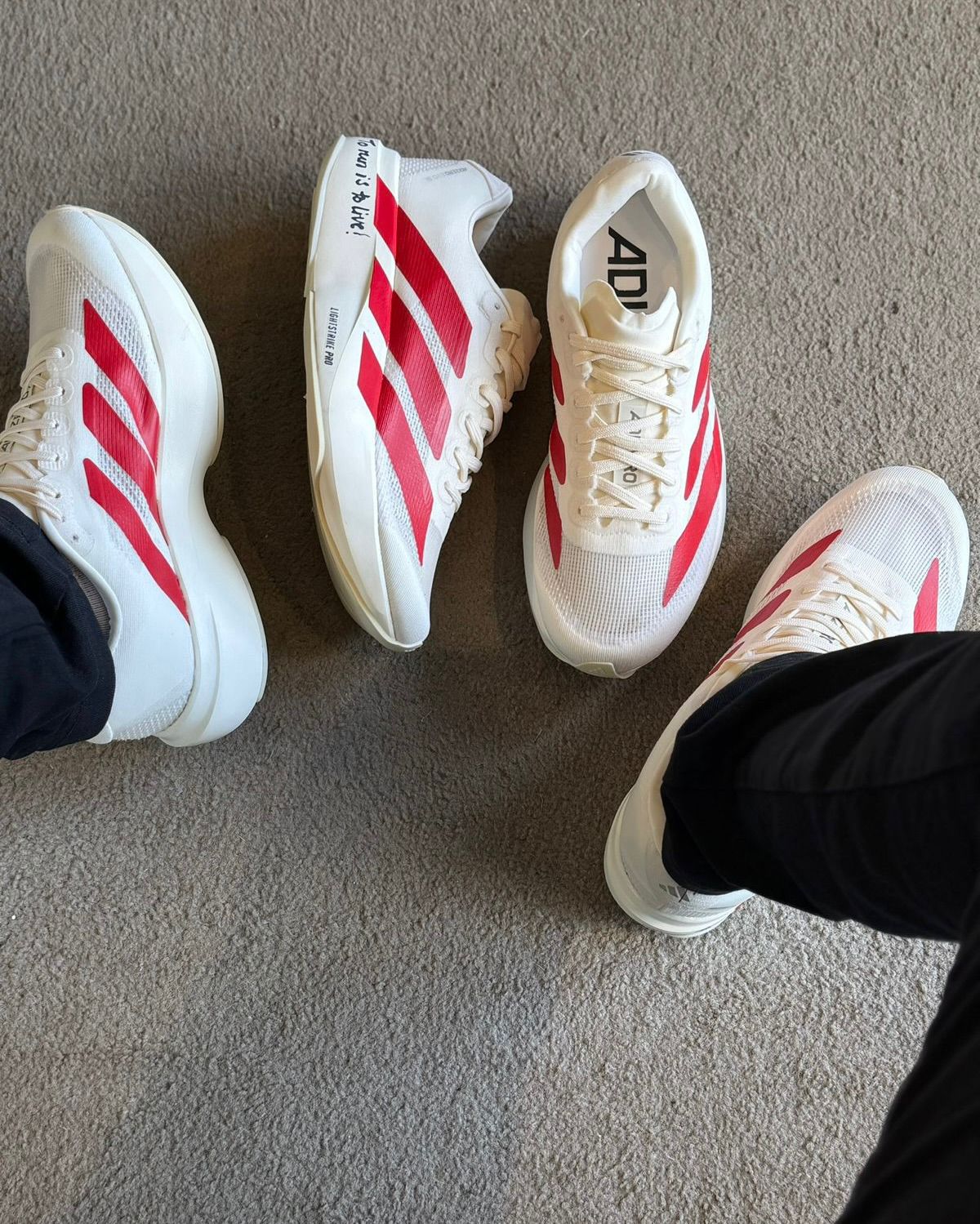 Adizero Evo SL Branco red